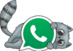 WhatsGato